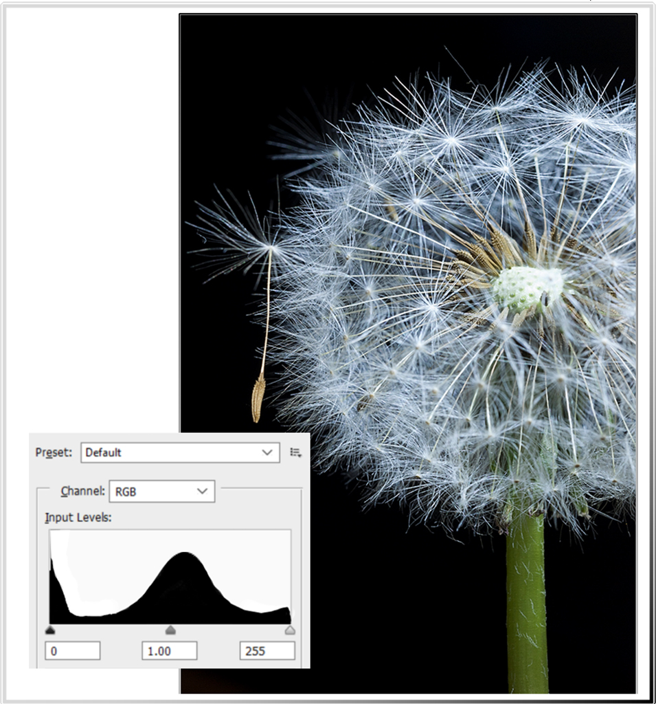 El histograma fotográfico: