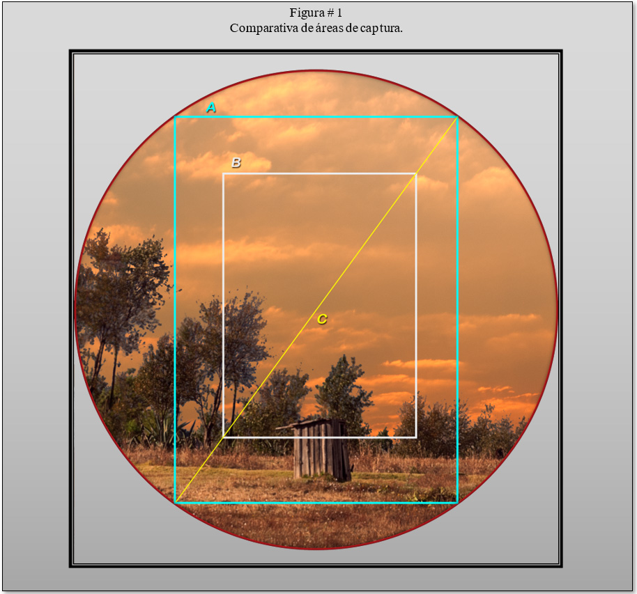 El factor de recorte